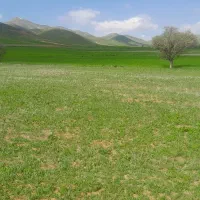 خواهان زمین برای اجاره گندم منطقه سقز ودیواندر