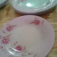 ظروف آذین اوپال و...|ظروف سرو و پذیرایی|نجفآباد, امیرآباد|دیوار