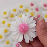 گیفت بابونه