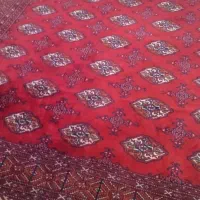 فرش ترکمنی دست بافت|فرش|کردکوی, |دیوار