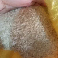 برنج فجر لاشه