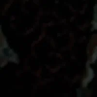 لاستیک ساینا