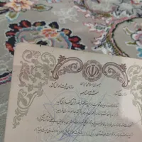 یک عدد شناسنامه پیدا شده