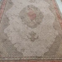 فرش 9متری|فرش|فولادشهر, C8|دیوار