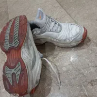 کفش کتونی مردانه|کیف، کفش، کمربند|نیشابور, دهنو|دیوار