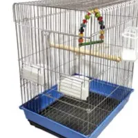 قفس عروس هلندی