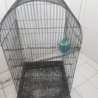 قفس کاسکویی