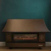 بخاری نیک کالا سالم سالم زیر قیمت بازار