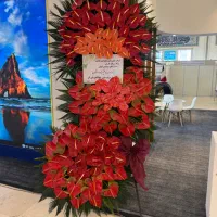 تاجگل نمایشگاه بین المللی تحویل رایگان