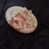 گردنبند ستاره و صدف