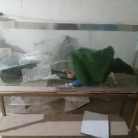 آکواریوم ماهی