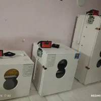 دستگاه جوجه کشی تا 210 عددی/ 42تایی ببالا