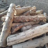 خرید چوب برش درخت هرس