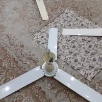 ۳ تا پنکه سالم