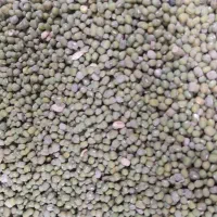 ماش پاکستانی بوجاری