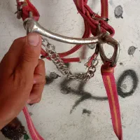 لوازم اسب
