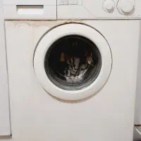 یخچال کولر باکس لباسشویی ویترین تابلو تلویزیون