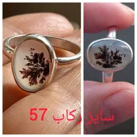 شجر فانتزی اسپرت زنانه و مردانه|جواهرات|زنجان, |دیوار