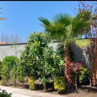 کد-8754فروش-ویلا