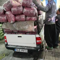 نیرو کار خانم و آقا بسته بندی زغال