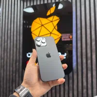 اپل iPhone 16Promax حافظه ۲۵۶گیگ