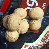 گردو تازه چینی درجه یک