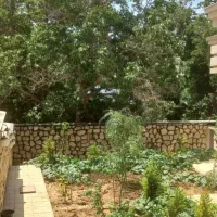 ویلایی بلوار ولیعصر ۴۱۵متر