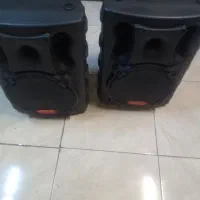 باند ۱۲اینچ پستیوراک