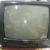 تلویزیون