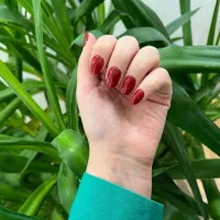 ترمیم ناخن ژل و پودر|خدمات آرایشگری و زیبایی|تهران, علم و صنعت|دیوار