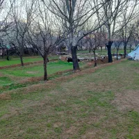 فروش-زمین-کشاورزی