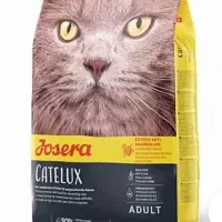 جوسرا گربه ده کیلویی