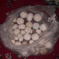 سنگ الماس آسیاب