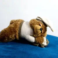 عروسکای پولیشی|اسباب‌‌بازی|گرگان, |دیوار