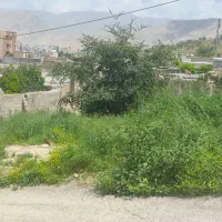 فروش-زمین-520متری-مدرس-مشکل-گشا