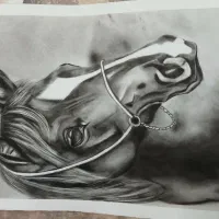 تابلو نقاشی|تابلو، نقاشی، عکس|مشهد, کوی المهدی|دیوار