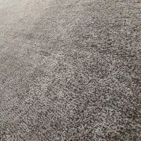 پالازموکت