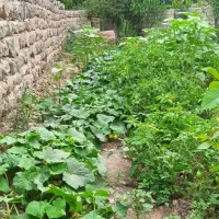 زمین مسکونی ۳۴۰مترروستای احمدآباد|فروش زمین و ملک کلنگی|مشگین شهر, |دیوار