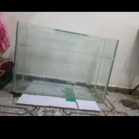 آکواریوم