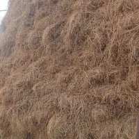 یونجه|لوازم جانبی حیوانات|خوی, |دیوار