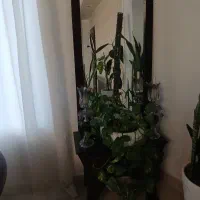 آینه شعمدان