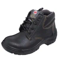 کفش کار کاوه