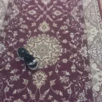 فرش|فرش|زابل, |دیوار