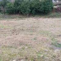 ۶40متر زمین روستایی|فروش زمین و ملک کلنگی|املش, |دیوار