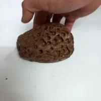 سنگ قیمتی|کلکسیون اشیاء عتیقه|تهران, فلاح|دیوار