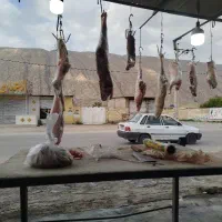 گوشت کهره بره کلر