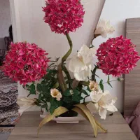 گل توپی با گلدان