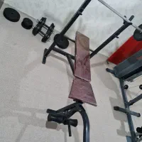 هالتر