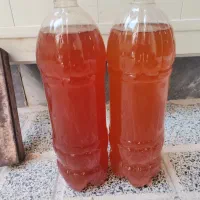 فروش آبغوره ی تازه|خوردنی و آشامیدنی|تهران, فلسطین (میدان انقلاب)|دیوار