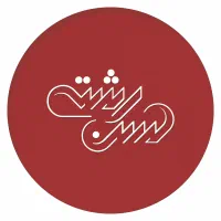 استخدام نیروی